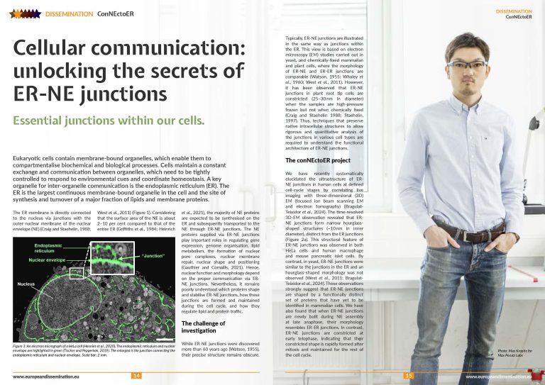 Cellular communication: unlocking the secrets of ER-NE junctions