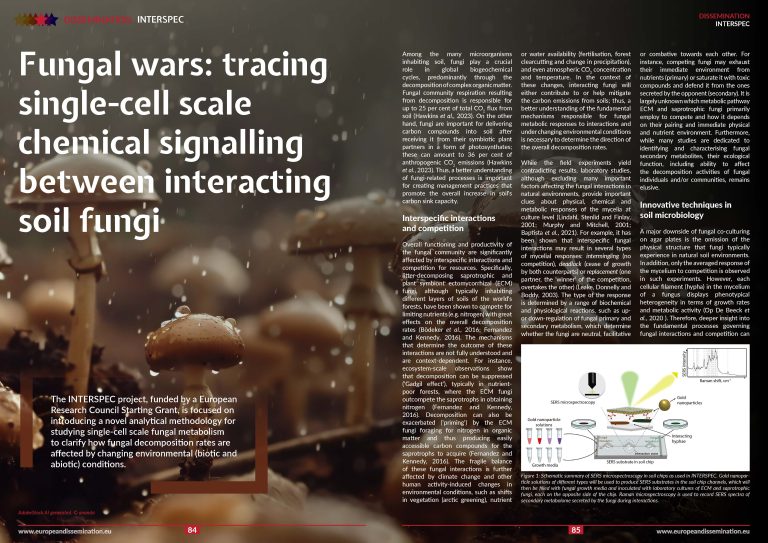 Fungal wars: tracing single-cell scale chemical signalling between interacting soil fungi